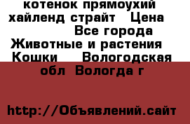 котенок прямоухий  хайленд страйт › Цена ­ 10 000 - Все города Животные и растения » Кошки   . Вологодская обл.,Вологда г.